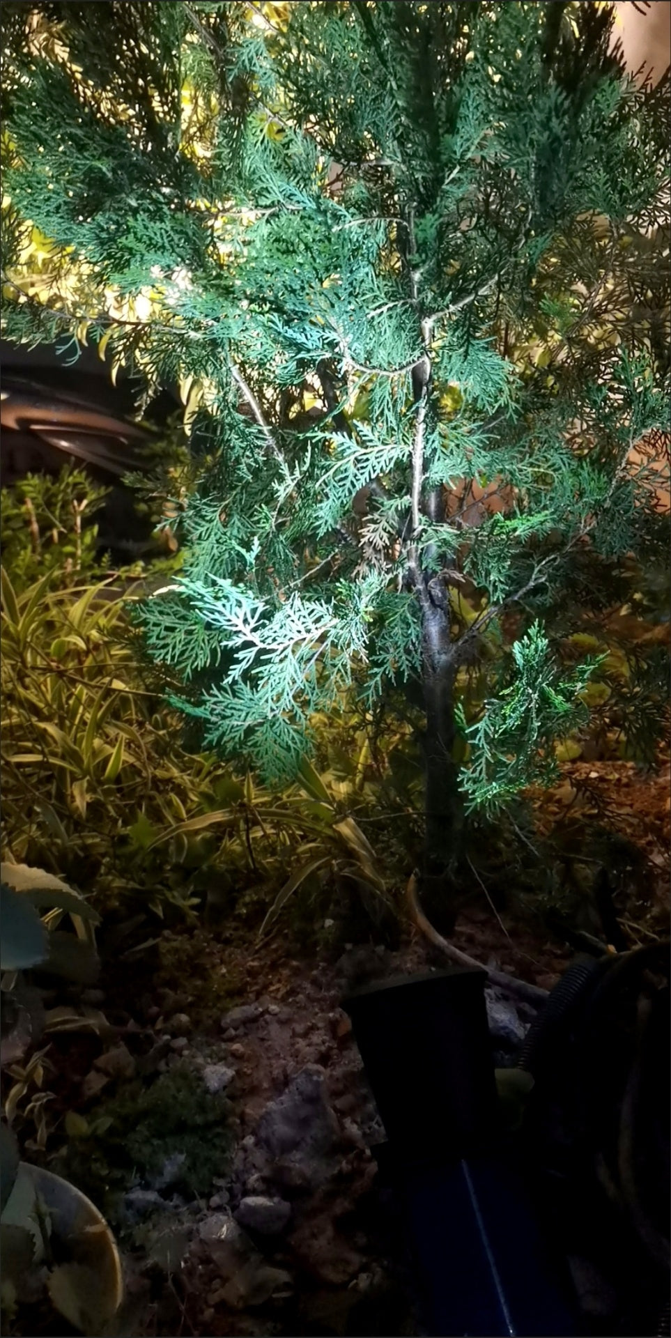 Garden Solar Light