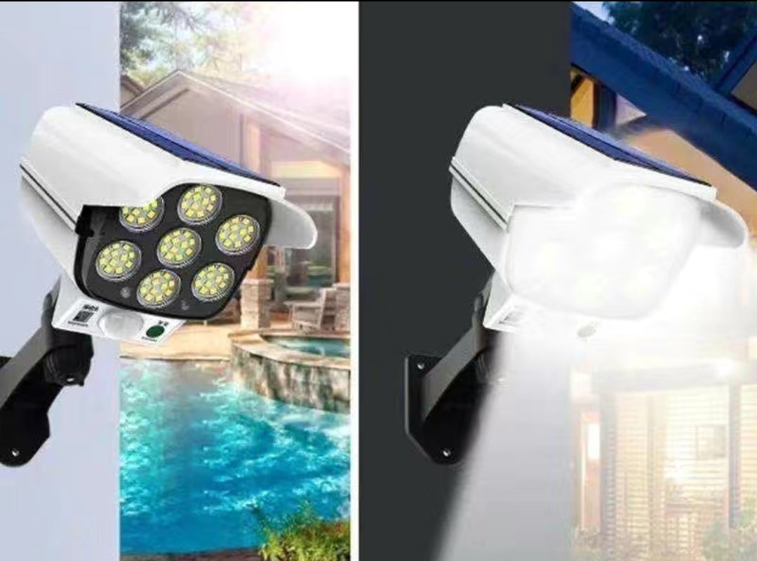 Security Solar Light