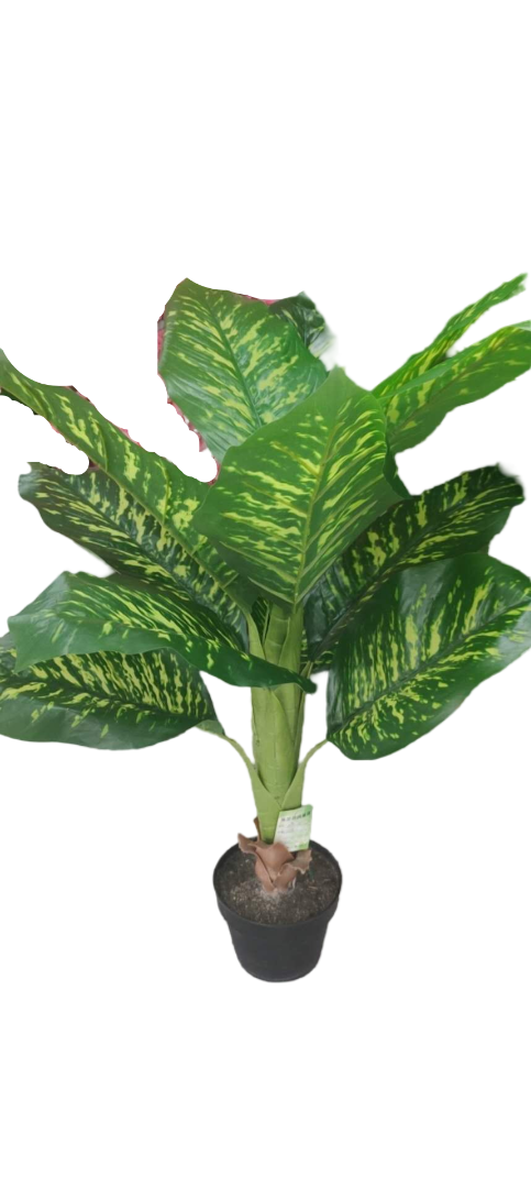 Synthetic Plant