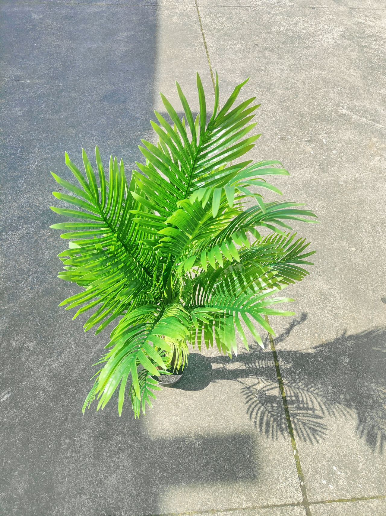 Artificial palm tree with pot