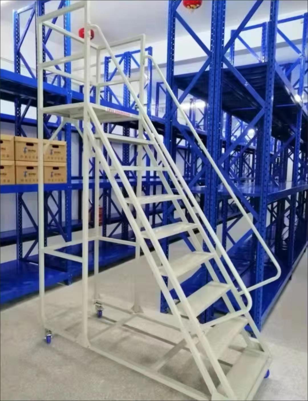 Platform ladder with wheels