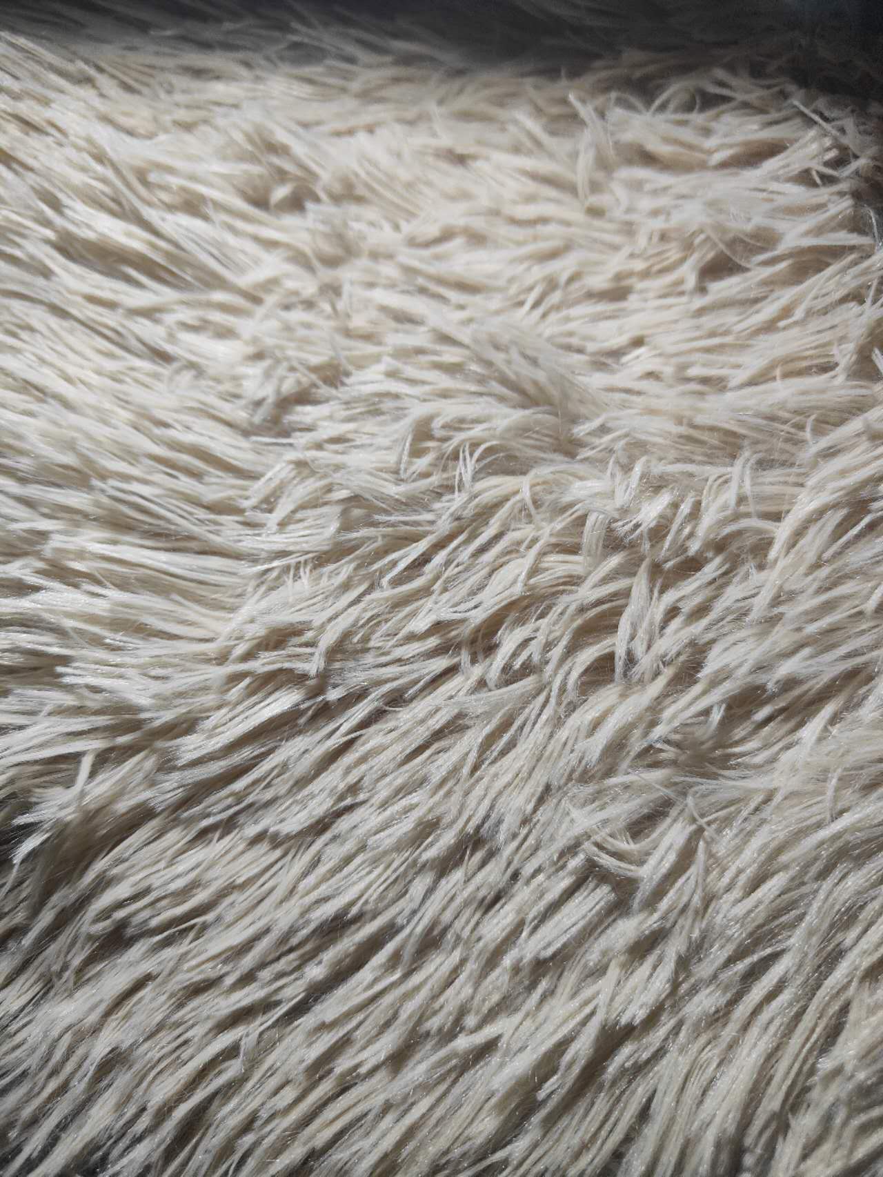 Fluffy Carpet