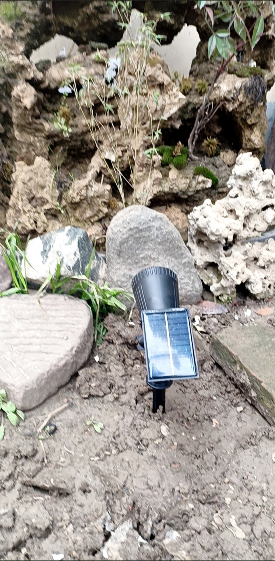 Garden Solar Light