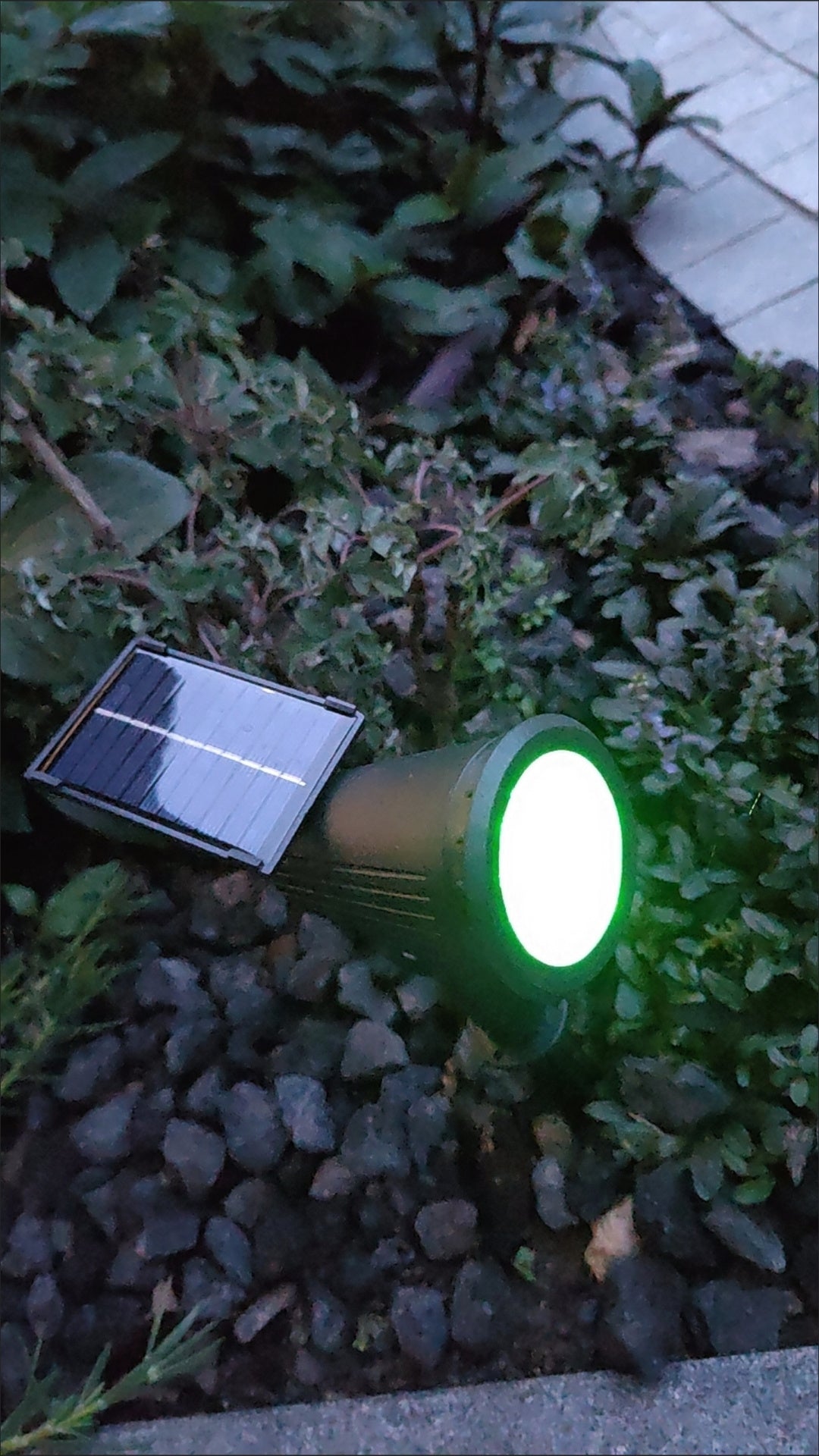 Garden Solar Light