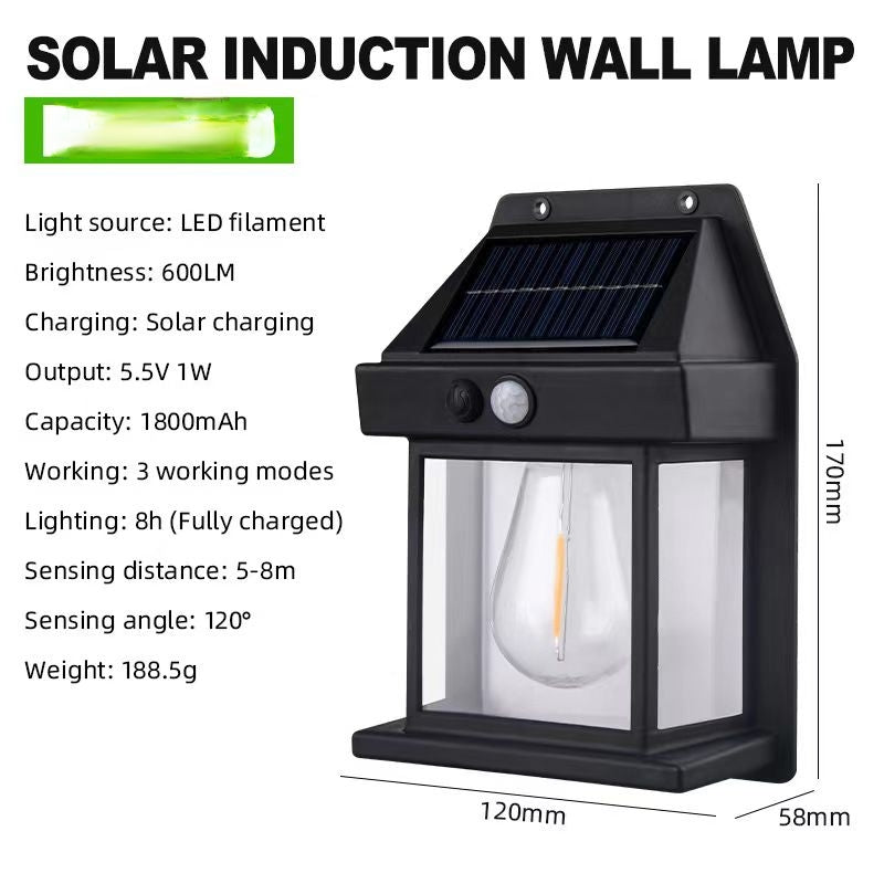 Solar Induction Wall Light