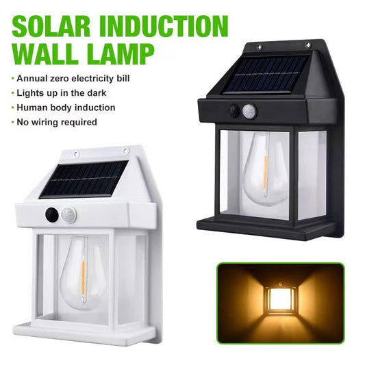 Solar Induction Wall Light