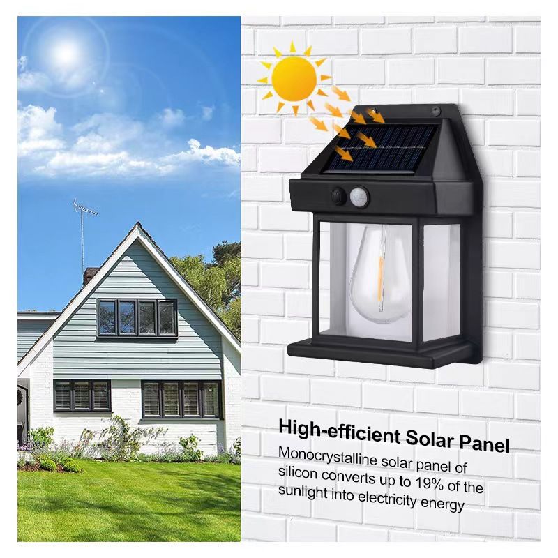 Solar Induction Wall Light